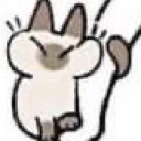 qqcat